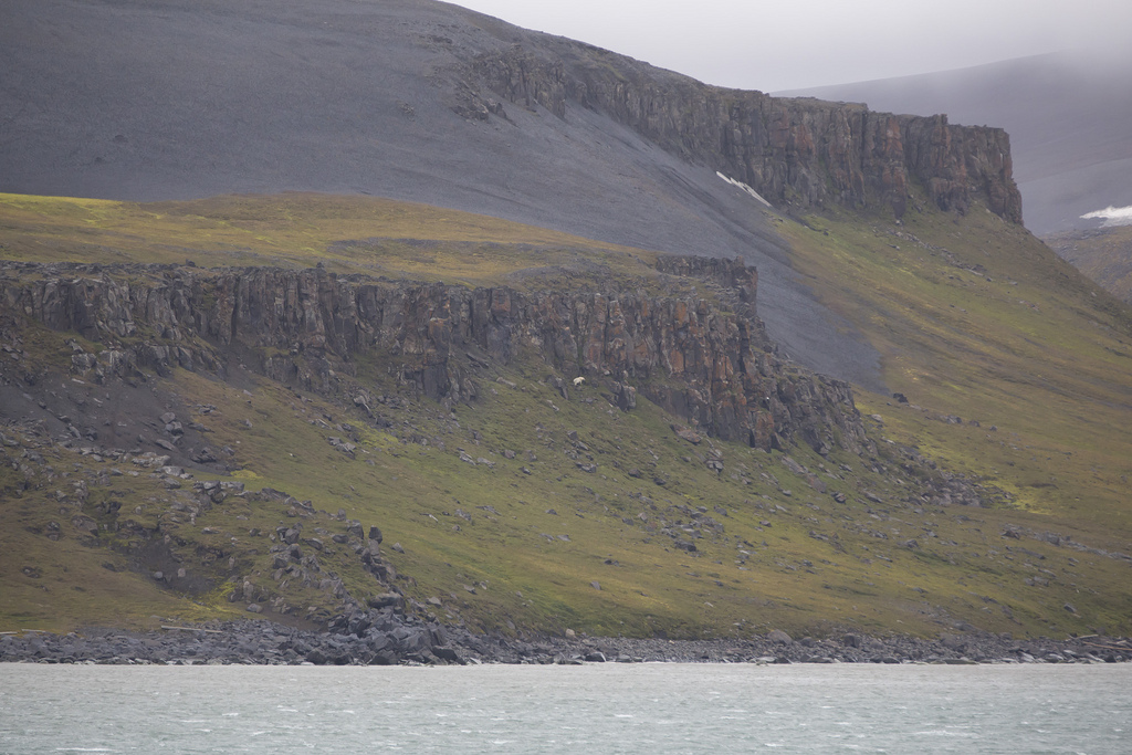 CRUCEROS EXPLORACION SVALBARD CRUCEROS NORTE EUROPA CRUCEROS SPITSBERGEN CRUCEROS NORUEGA DESCONOCIDA EDGEOYA